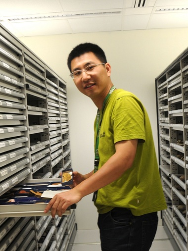 开云在线客服创新论坛第一千八百零一讲：虫鸣凤舞伴花香：现代陆地生态系统的起源