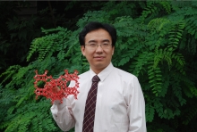 开云在线客服创新论坛第一千二百七十三讲暨120周年校庆年系列活动： Unexpected slow diffusion in hierarchical porous materials with combined surface and configurational diffusion   