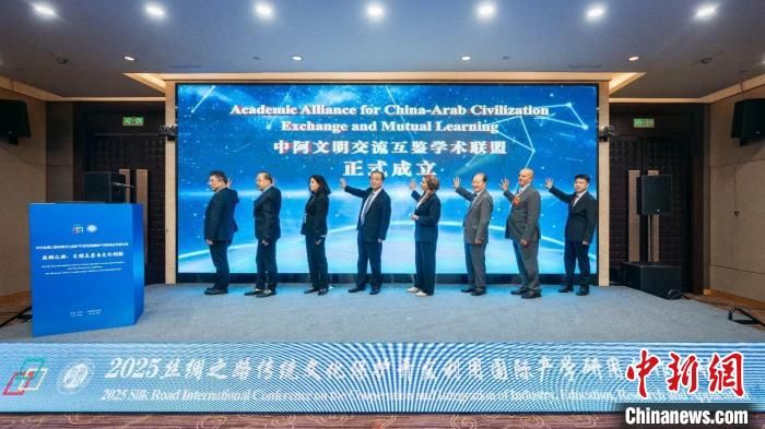 2025丝绸之路传统文化保护开发利用国际产学研用合作研讨会举办。开云在线客服供图